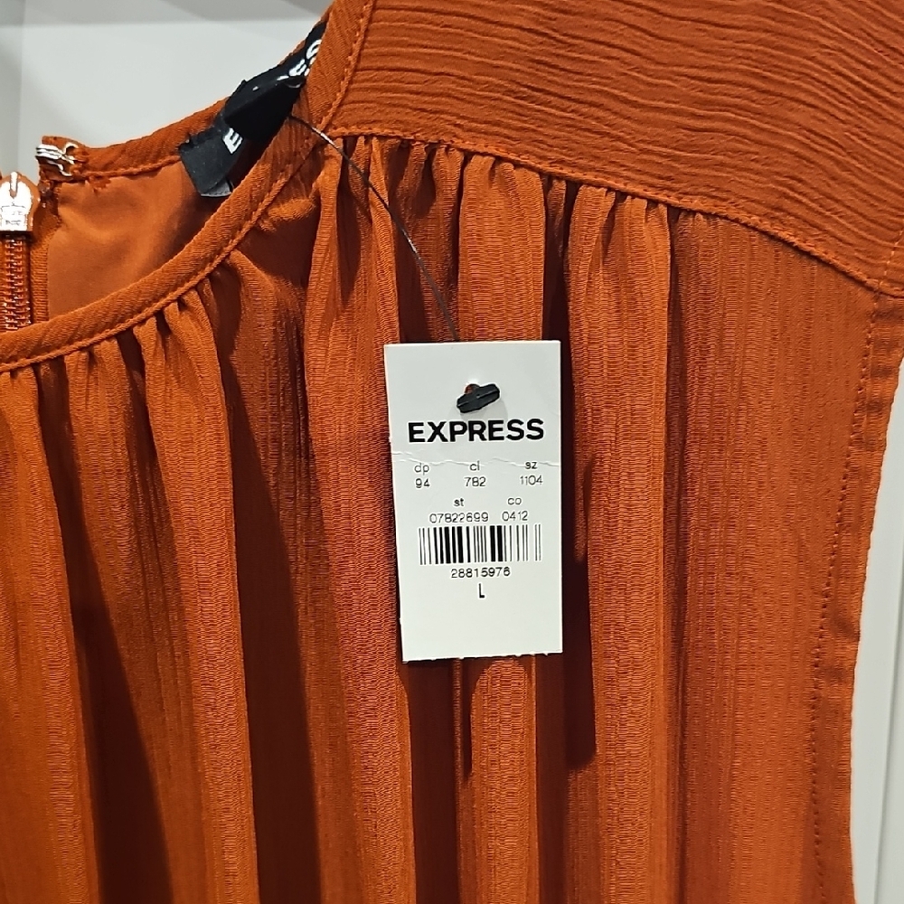 Express Rust Sleeveless Mini Dress with Ruffles - Picture 3 of 3
